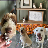Custom Pet Bobblehead, Customizable Bobbleheads Of My Dog, Create You Own Dog Bobblehead - Abobblehead.com